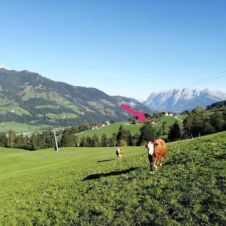 Landhaus Voetter Sankt Johann im Pongau Esterno foto